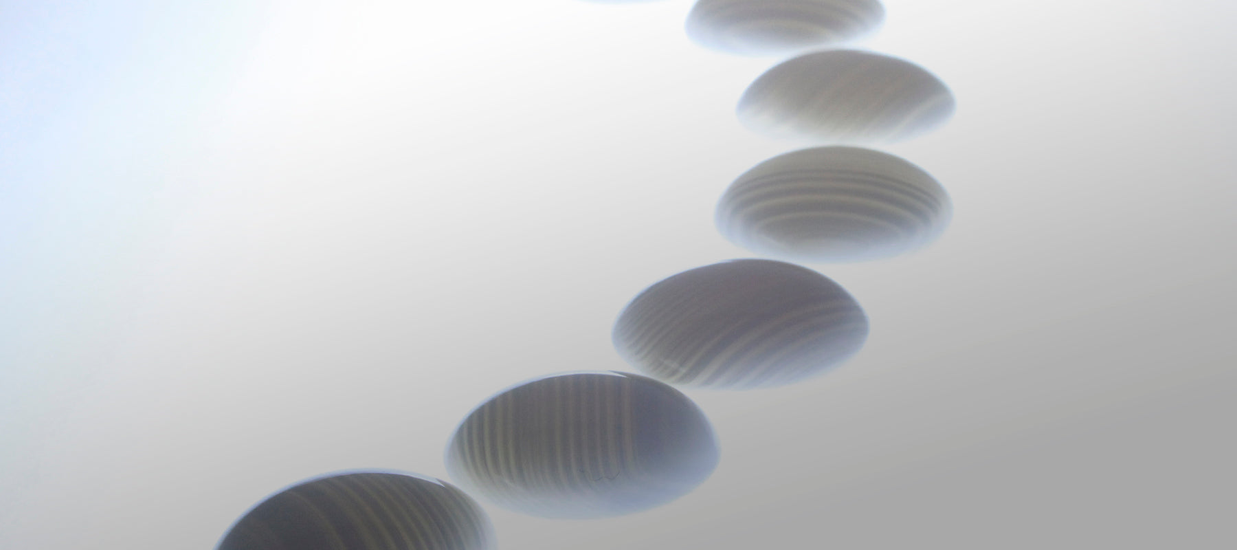 "Goishi (Go stones) Day " Commemorative Sale kurokigoishiten