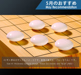 Releasing Stored Go Equipment Summer Sale 408-MGS-08 Clamshell Go Stones BLUE Label size 41  605-RC-03