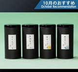 A set of 4 kinds colored Go stones set "Irodori (colouration)-Go set" 610-RC-02