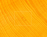 China grown Hon Kaya Masame Go board with legs 7.0-sun / 21.4 cm thick *Off-spec No.71136