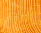 Board craftsman Mr. YOSHIDA made Hyuga Kaya Go board with legs "Ten-masa" 4.1-Sun (thick about 125 mm) No.74029F *Off-spec