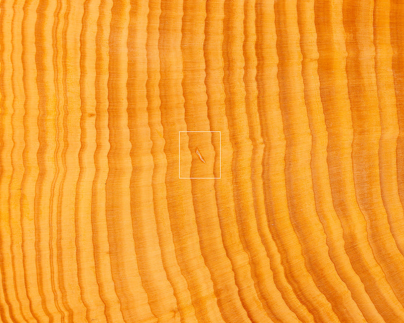 Board craftsman Mr. YOSHIDA made Hyuga Kaya Go board with legs "Ten-masa" 4.1-Sun (thick about 125 mm) No.74029F *Off-spec