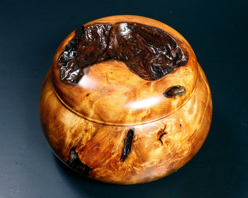Wood craftsman Mr.Kawashita made Yakusugi Go Bowls Premium Burl Grain Super Extra Large size GK-YKS-BK507-GK42-01 *Off-spec