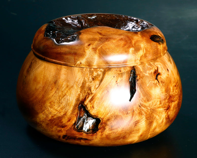 Wood craftsman Mr.Kawashita made Yakusugi Go Bowls Premium Burl Grain Super Extra Large size GK-YKS-BK507-GK42-01 *Off-spec
