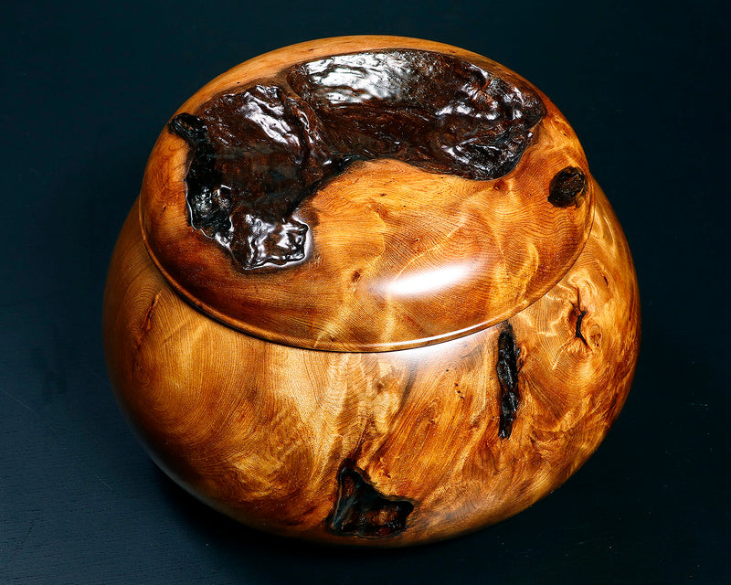 Wood craftsman Mr.Kawashita made Yakusugi Go Bowls Premium Burl Grain Super Extra Large size GK-YKS-BK507-GK42-01 *Off-spec