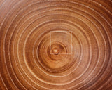 602-BEGB-12 Traditional craftsman Biei made Enju (Japanese pagoda tree) Go Bowls Extra Large for size 30 - 36 Go stones *Off-spec GKEJ-MR36-512-01F