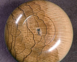 602-TWC-KS-17 木工挽物職人 懐志製作「樫（かし）」碁笥 特大 40号 GKKAS-SB40-601-01