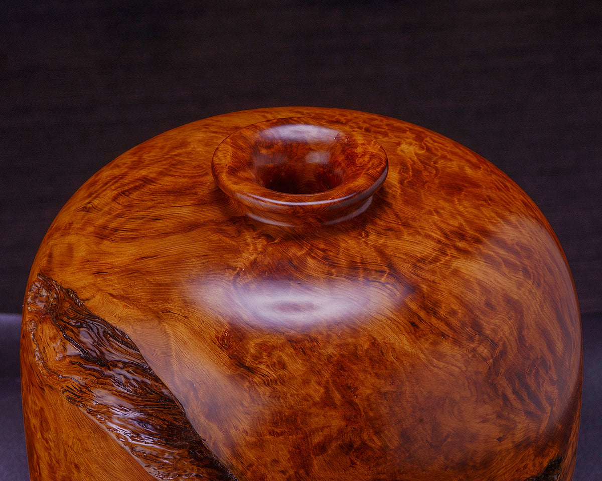 新作 屋久杉特集 – kurokigoishiten