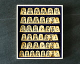 Shogi pieces craftsman "Fu-getsu 富月" made Mikurajima-hon-tsuge (Mikura Island grown boxwood), Tora-Moku (Tiger-striped wood grain), Minase-syo (Minase script), Mori-age(embossed) Shogi pieces SHK-FG510-01