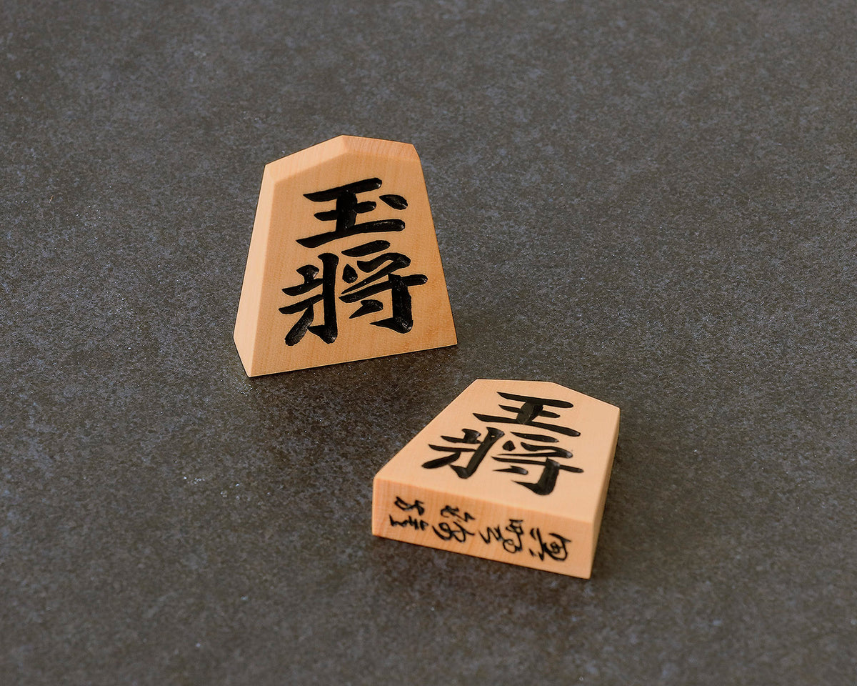 将棋　参考書　まとめ売り19冊 永世七冠・羽生善治九段による将棋入門書、将棋がはじめての方、将棋に