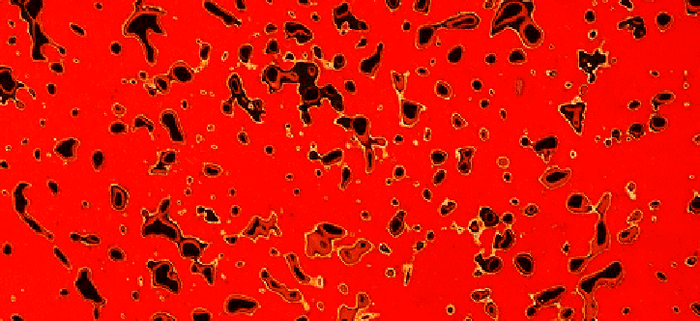 津軽塗/唐塗 『りんご菓子器/茜』 – kurokigoishiten