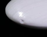 日向特産蛤碁石 ブルーラベル雪印 31号 HBLY-31-910-01